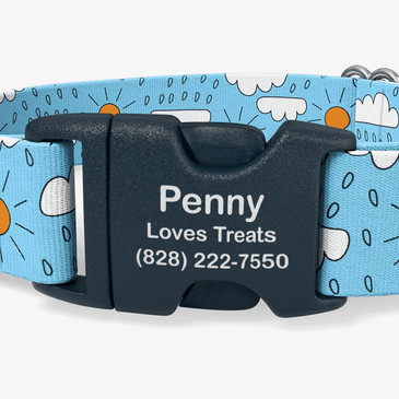 closeup of buckle personalization